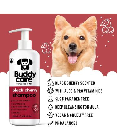 Black Cherry Dog Shampoo | BuddyCare - Deep Cleaning Fruity Fragrance Aloe Vera & Pro-Vitamin B5 (500ml) - International Shipping Available - Buy Online on SooperMarket.com