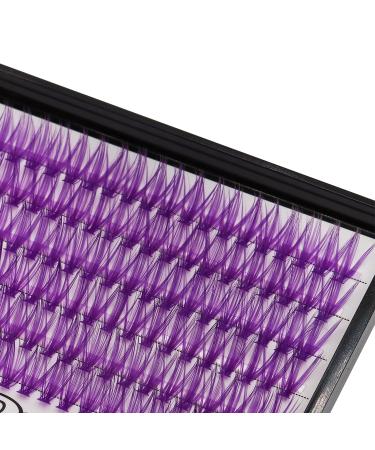 12 Rows 40D Purple Individual False Eyelashes - 240 Clusters 3D Volume Extensions 0.07mm D Curl - Colorful Makeup Beauty Tools (14mm - Buy Online on SooperMarket.com