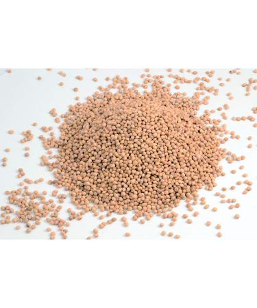 Loose cherry stones cleaned - cherry stones for heat pads 2kg stones