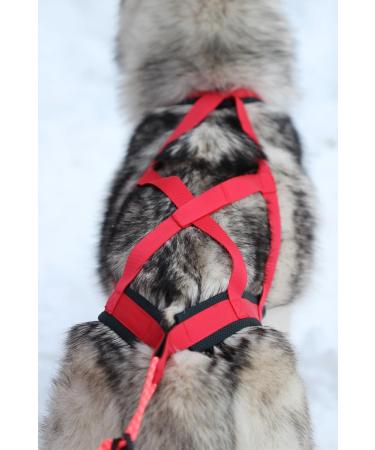 Northern Howl X-Back Dog Harness - XL Red for Canicross Bikejoring Skijoring & Dogscooting - International Shipping Available - Buy Online on SooperMarket.com