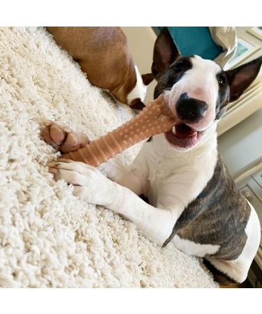 Nylabone Dura Chew Extreme Tough Dog Chew Toy Bone XL - Bacon Flavour | For Dogs over 23 kg - Buy Online on SooperMarket.com