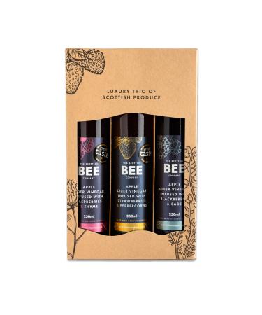 Apple Cider Vinegar Infusion Collection by The Scottish Bee Company - 3 x 250ml Vegan Fruit-Infused Vinegars for Salads Marinades & Cooking