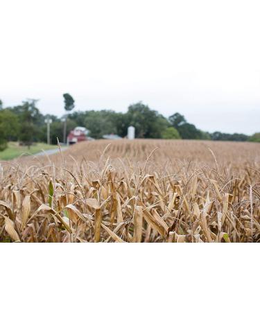 Stone Ground White Corn Grits Non-GMO - 30 oz Bag - Buy Online on SooperMarket.com