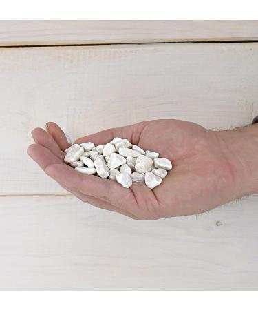Landare 1.8kg White Pebble Stones - Decorative Gravel for Vases & Gardens (6-10 mm) - Small Decorative Stones - Buy Online on SooperMarket.com