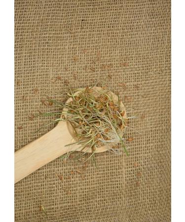 Royal Lee Organics Organic Hard Red Wheat Berries - 10 lb Bag - Buy Online on SooperMarket.com
