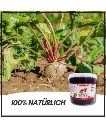Supravit Beetroot Chips - 2kg Sugar-Free Horse Snack | 100% Natural No Additives | Ideal Treat & Feed for All Horses - Buy Online on SooperMarket.com