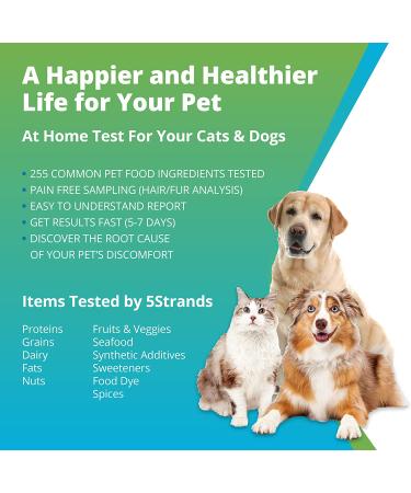 5Strands Pet Food Intolerance Test: At-Home Sensitivity Test for Dogs & Cats | 270 Items | Results in 7 Days - Protein, Grain, Fruit, Preservatives | Hair Analysis | Accurate for All Ages and Breeds - Buy Online on SooperMarket.com