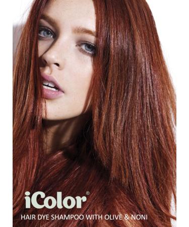 Great Lengths iColor Burgundy Hair Dye Shampoo 10 Sachets (30ml) | Easy DIY Color in 20-30 Minutes | International Shipping Available - Buy Online on SooperMarket.com