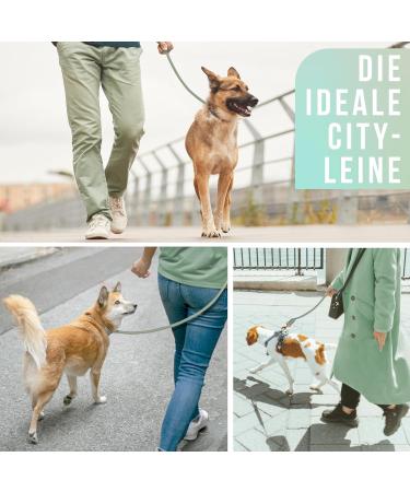 Premium 1.7m Dog Leash for Large Dogs - Durable Braided Training Rope | Sage Green - Buy Online on SooperMarket.com