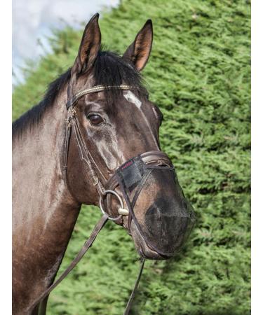 LeMieux Horse Comfort Shield Nose Filter in Black - Fine Mesh - Easily Adjusted - Pack of 2 L Black - Buy Online on SooperMarket.com