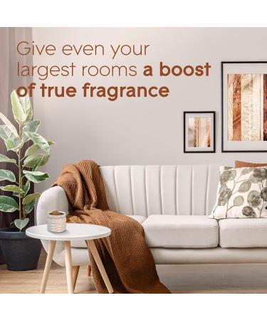 Glade Wax Melts Air Freshener and Odor Eliminator Scented Essential Oils for Home and Bathroom Cashmere Woods 6 Count Cashmere Woods 66 g (Pack of 1) - Buy Online on SooperMarket.com