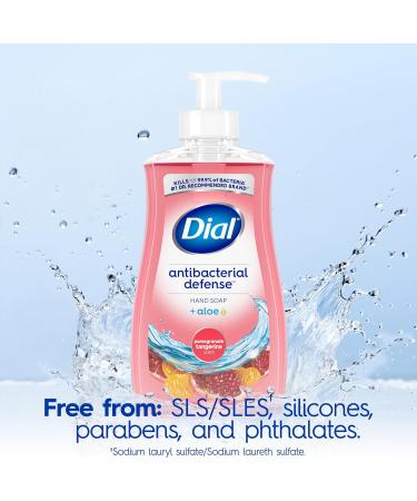 Dial Antibacterial Liquid Hand Soap Pomegranate Tangerine 325ml Tangerine 325 ml (Pack of 1) - Buy Online on SooperMarket.com
