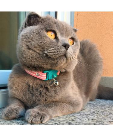 Shop Kittyrama Neck Bands for Cats & Kittens - Vogue Featured Vet Approved Breakaway Hypoallergenic & Comfortable - Shop Now! - Buy Online on SooperMarket.com