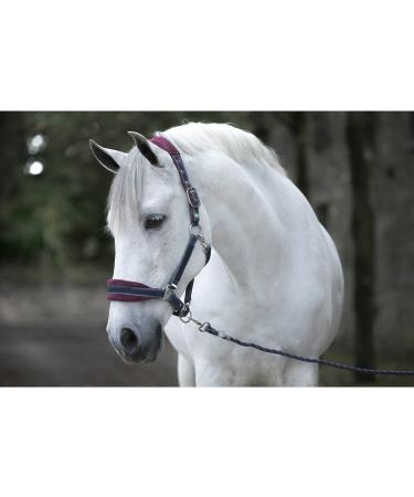 RAMBO Padded halter for horses Horseware