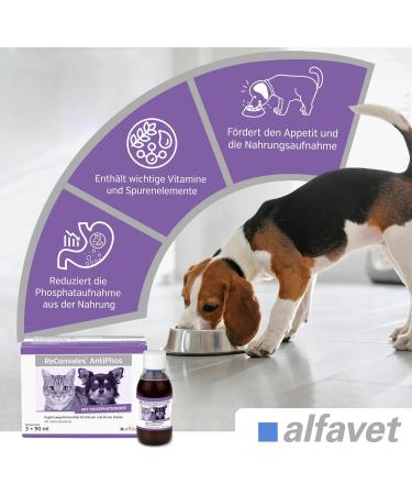 Alfavet Reconvales Antiphos - Kidney Support for Cats & Dogs | Nutritional Supplements with Phosphate Binders - 3 x 90ml Bottles - Buy Online on SooperMarket.com