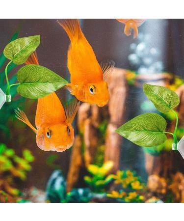 Aquarium Feeding Set: Fish Feeding Ring, Food Feeder, Spawning Bed, Betta Leaf Pad - 4 Pieces - Buy Online on SooperMarket.com