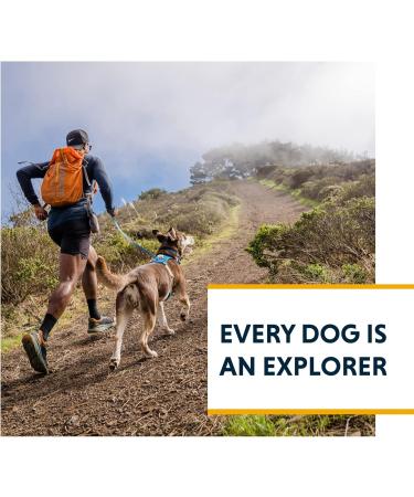 Ruffwear Hi & Light Dog Harness | No Pull Fully Adjustable Lightweight | Sizes XXXS to XL | Blue Dusk - Perfect for All Breeds - Buy Online on SooperMarket.com