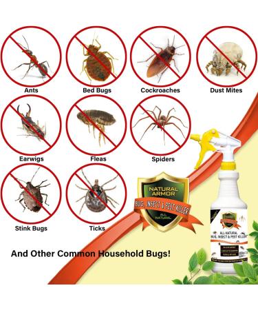 128 oz Natural Bug and Insect Killer for Indoor and Outdoor Use - Flea, Tick, Ant, Spider, Bed Bug, Dust Mite, Roach Control with Trigger Sprayer - 1 Gallon - Buy Online on SooperMarket.com