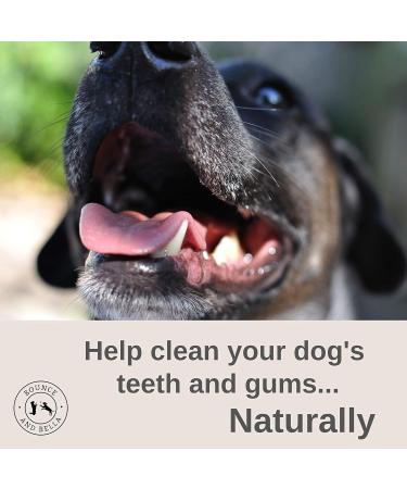Bounce and Bella Pig Ears Strips for Dogs Natural Dog Chews Healthy Treats Help Clean Dogs Teeth 150 g (Pack of 1) - Buy Online on SooperMarket.com