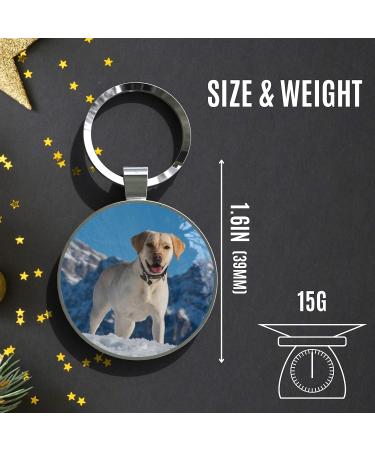 DISONTAG Personalized QR Code Dog ID - Customizable Online Profile | Secure Pet Privacy Control - Buy Online on SooperMarket.com
