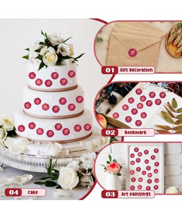 100 Pcs Red Rose Dried Pressed Flowers - Natural Resin Filler for DIY Crafts and Decor - Buy Online on SooperMarket.com