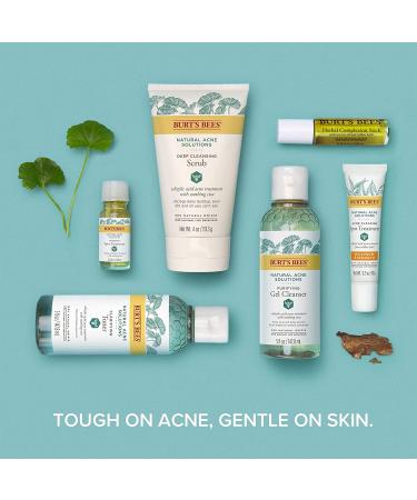 Burt's Bees Herbal Complexion Stick (Pack of 2) - Natural Acne Treatment - Buy Online on SooperMarket.com