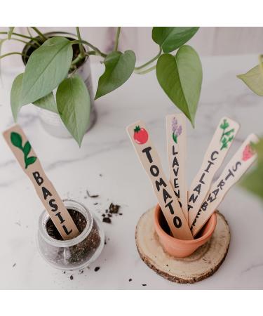 12 Inch Paint Sticks Box of 25 Hardwood Paint Stirrers Wood Mixing Paddles for Epoxy or Resin Garden or Library Markers by Woodpeckers 12 inch Pack of 25 - Buy Online on SooperMarket.com