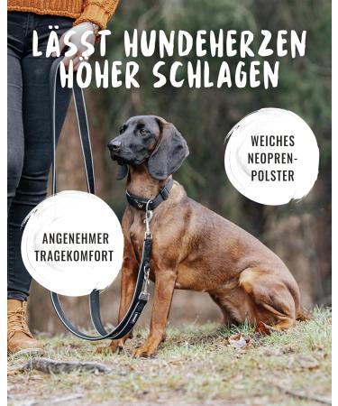 Rudelknig Paola Adjustable Reflective Dog Collar for Small Dogs - Black Nylon Size 1 (25-30cm) - Buy Online on SooperMarket.com