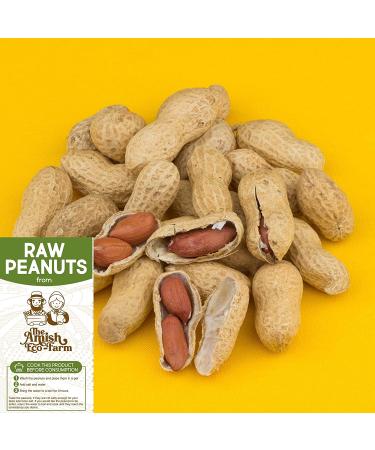 Raw Peanuts in Shell Fancy 5 lbs. | Perfect for Boiling, Squirrels, Birds | The Amish Eco-Farm - Buy Online on SooperMarket.com