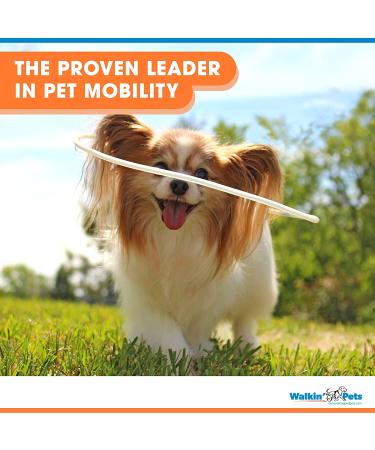 Walkin Halo Harness for Blind Dogs - Comfortable Harness for Pets Over 30lbs - Blind Dog Accessories - XX-Small - Buy Online on SooperMarket.com