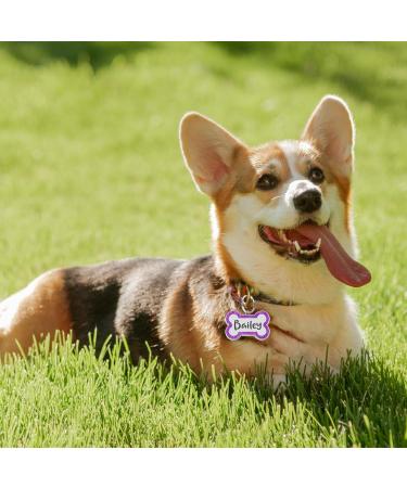 Personalised Dog Tags for Pets Engraved UK Dog Tag Glitter ID Tags for Dogs with Any Name & Text Custom Bone Stainless Steel Dog Name Tag for Pets Puppy Dog Cat Furry Friend(Pink S Bone) - Buy Online on SooperMarket.com