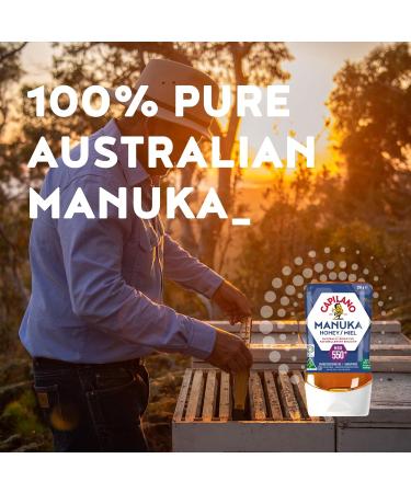 Capilano Active Manuka Honey 100% Pure Australian Premium Manuka Honey MGO550+ 250g - Buy Online on SooperMarket.com