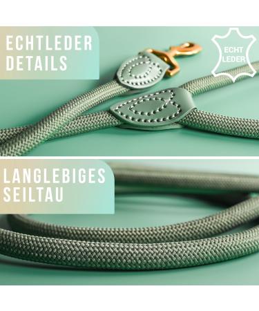 Premium 1.7m Dog Leash for Large Dogs - Durable Braided Training Rope | Sage Green - Buy Online on SooperMarket.com