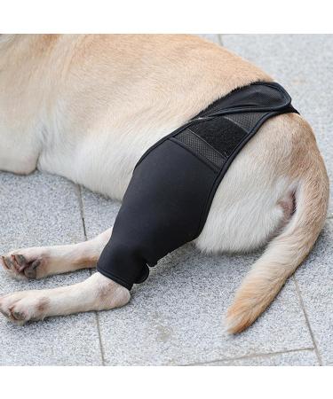 Hip Brace for Dogs - Flexible Hip Brace for Dogs Dog Hip Joint Brace for Torn ACL Patella Luxation Osteoarthritis Limping from Joint Hip Dysplasia Kot-au Black Medium - Buy Online on SooperMarket.com