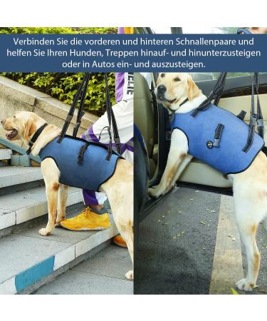 COODEO Dog Harness - Adjustable Lifting Belt for Support & Rehabilitation | Padded Breathable Straps for Old & Disabled Pets | Size M Blue - Buy Online on SooperMarket.com