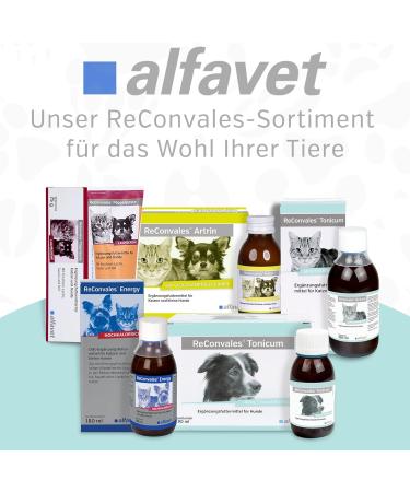 Alfavet Reconvales Tonicum for Dogs | Appetizing Supplementary Feed for Convalescence & Weight Gain | 6 x 90 ml Bottles - International Shipping Available - Buy Online on SooperMarket.com