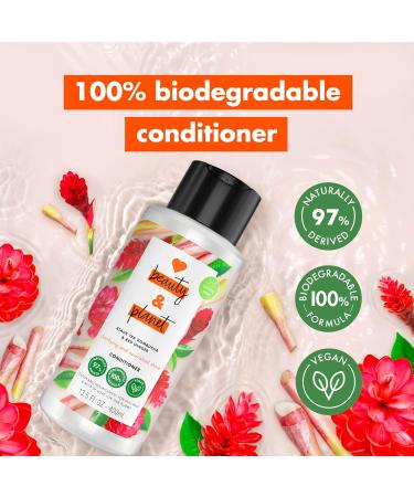 Love Beauty and Planet Silicone Free Conditioner - Black Tea Kombucha & Red Ginger | Detox & Nourish for Soft Shiny Hair - 13.5 fl oz - International Shipping - Buy Online on SooperMarket.com