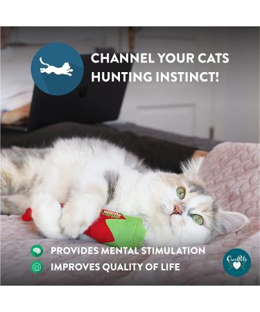 OurPets 100% North American Catnip Filled Cat Toys - Interactive Cat Toy for Indoor Cats & Kittens - Chew Toy & Catnip Toys for Cats - Great for Catnip Lovers - Hot Stuff! - Buy Online on SooperMarket.com