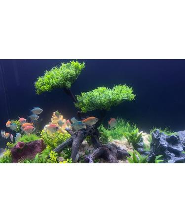 Begondis 25-Piece Plastic Aquarium Plant Tree Set | Artificial Aquatic Plants & Flowers for Fish Tank Decorations - Buy Online on SooperMarket.com