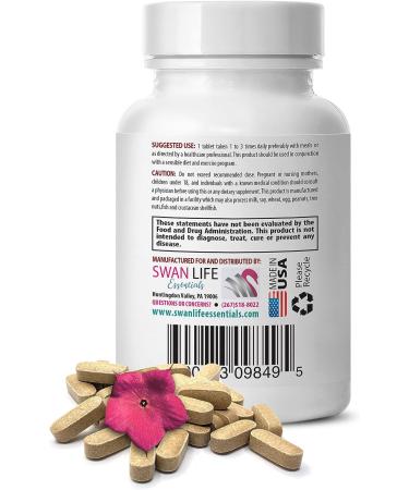 Hoodia Gordonii Extract Powder - 20:1 Concentration - Natural Energy Pills - 4 Bottles, 360 Tablets - Buy Online on SooperMarket.com