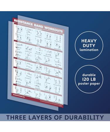 Palace Learning 3-Pack: Dumbbell Exercise Poster Resistance Bands Workouts & Stretching Tables - Laminated 18x24 - Ideal for Home Fitness & International Shipping - Buy Online on SooperMarket.com