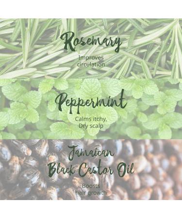 Tropic Isle Living Rosemary Mint Leave-In Conditioner 8oz - Natural Detangler Moisturizer & Scalp Repair for All Hair Types - Cruelty-Free Hair Care - Buy Online on SooperMarket.com