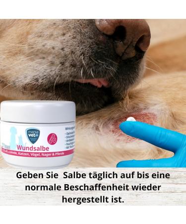Marsavet+ 30ml Wound Ointment for Dogs Cats Birds & More | Zinc Propolis Hyaluron & D-Panthenol - Healing & Skin Infection Prevention - Buy Online on SooperMarket.com