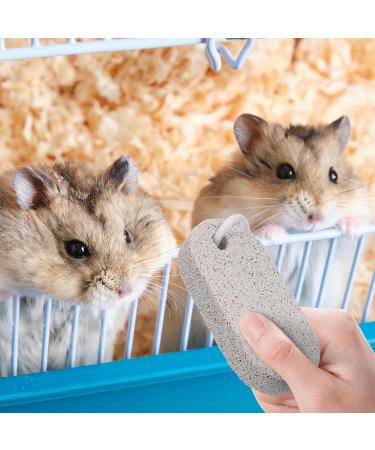 STOBOK 2 Pcs Pet Teeth Grinding Stone Calcium Mineral Stone for Mouse Rabbit Squirrel Hamster Small Pets - Buy Online on SooperMarket.com