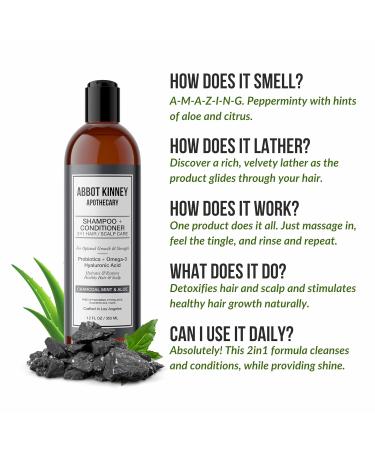 Charcoal & Mint 2-in-1 Shampoo and Conditioner | Natural Scalp Care with Essential Oils & Hyaluronic Acid - 12 FL OZ - Buy Online on SooperMarket.com