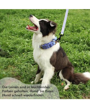 Tag Trag Dog Leash - 20m Light Blue Waterproof Training Line with Handle & D-Ring for Small & Medium Dogs - Buy Online on SooperMarket.com