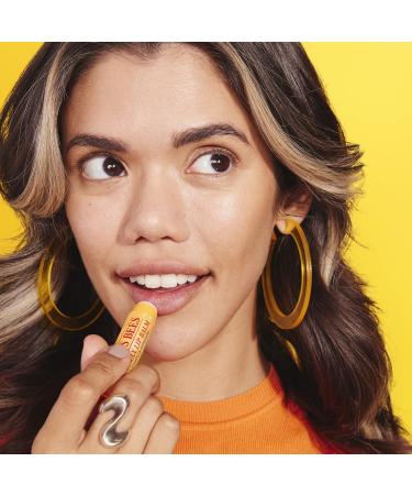 Burt's Bees Lip Balm Multipack Lip Balm Set With Beeswax & Vanilla Bean With Vitamin E Value Duo Pack 2x4.25g - Buy Online on SooperMarket.com