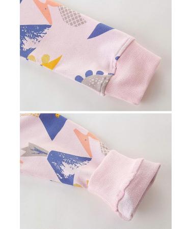 Girls Dinosaur Sweatshirt - Cotton Casual Jumper, Toddler Long Sleeve Pullover | Age 5-6 Years - Buy Online on SooperMarket.com