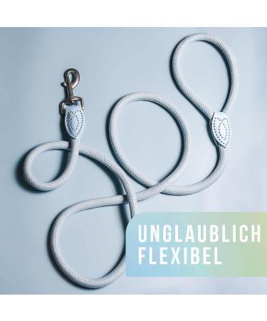 High-Quality 1.7m No Tangle Dog Training Leash - Aqua Braided Rope with Hand Loop - Buy Online on SooperMarket.com