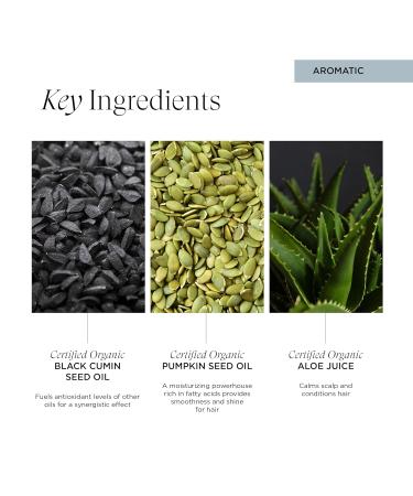 Intelligent Nutrients Amplifi-hair Style & Restyler Spray Volume Boost and Texture Styling for All Hair Types Vegan 5 Oz - Buy Online on SooperMarket.com